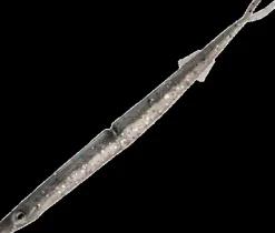 DAIWA BAIT JUNKIE 6.5 INCH GAR LURE - #75 Island Ihe - Qty 5