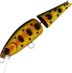 DAIWA SILVERCREEK DR MINNOW JOINT 50S LURE - Cali Golden