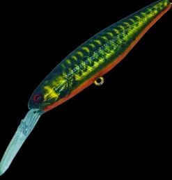 JACKALL SQUIRREL 79SP DD HANK TUNE LURE - Gold King