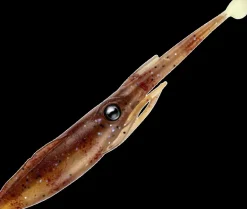 NOMAD LIVE OPS JERKSQUID LURE 4 Inch - BLTGR - Blood Tiger