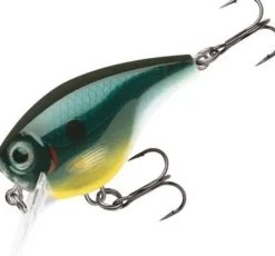 RAPALA BX BRAT 6FT LURE CBN - Carbon