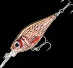 RAPALA X-LIGHT SHAD LURE 4cm - Live Roach
