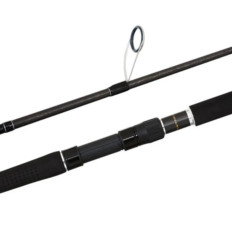 SHIMANO ANTHEM SW PE3 JIG SPIN ROD