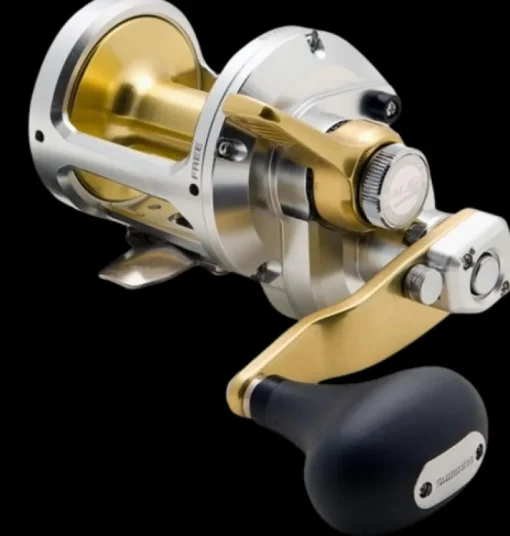 SHIMANO TALICA 20 2 SPEED OVERHEAD REEL
